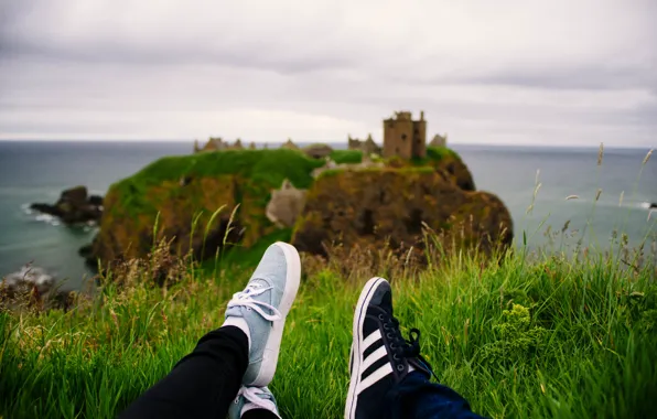 Picture sea, grass, island, sneakers, green, laces