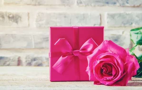 Love, gift, heart, roses, bouquet, love, pink, pink