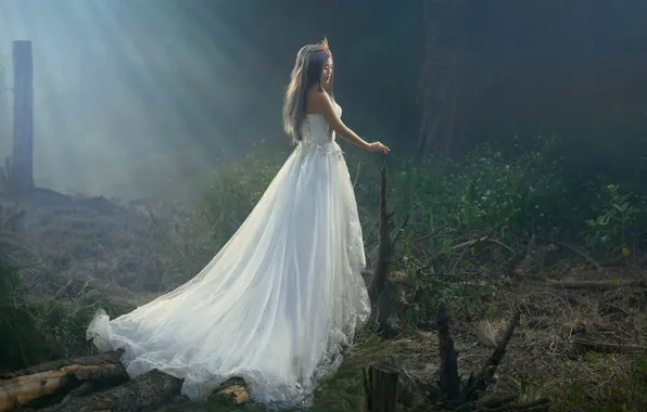 Girl, rays, light, branches, nature, pose, fog, style