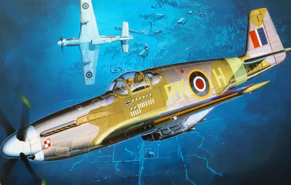 North American, RAF, Royal air force, long-range, American single-seat fighter, Mustang III
