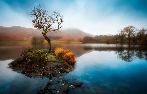 Nature, lake, island