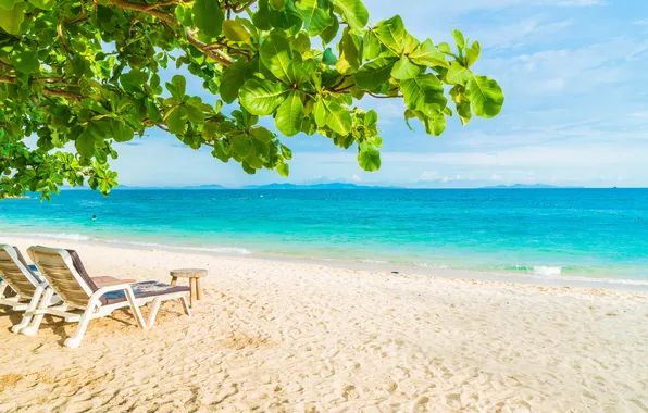 Picture sand, sea, beach, summer, the sky, palm trees, summer, beach