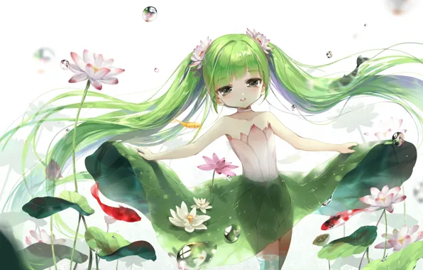 Leaves, fish, bubbles, fairy, Lotus, Water, green hair, nymph