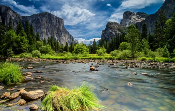 Forest, the sky, clouds, trees, mountains, lake, rocks, Yosemite