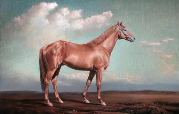 Clouds, horse, hooves, Aibek Begalin, Two thousand seven