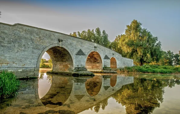 Picture the sky, trees, bridge, reflection, river, mirror