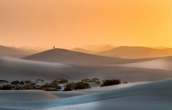 People, desert, morning