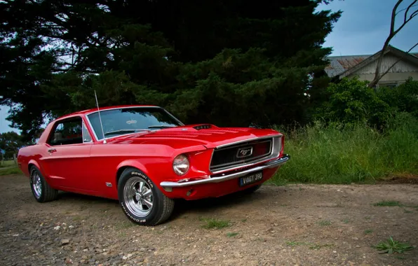 Mustang, Ford, red, Coupe, muscle car, '1968, GT 390