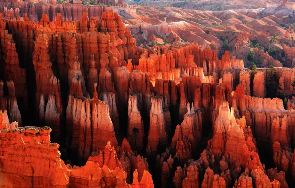 Rocks, dawn, canyon, Red City