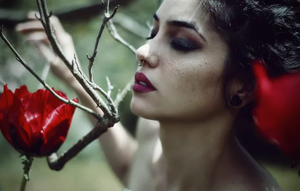 Picture dream, flowers, emotions, tale, Miriam, the septum