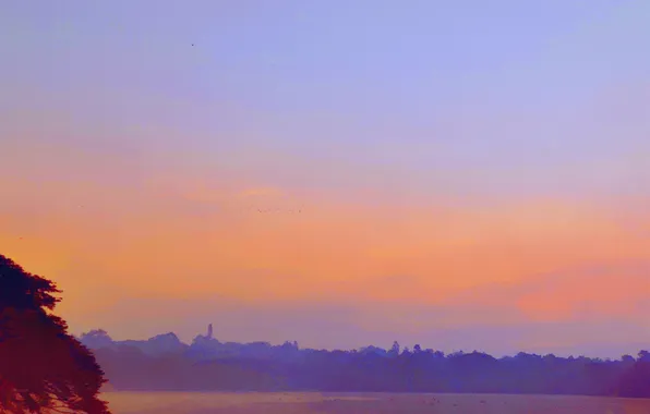 Sky, Water, Sunrise, Dawn, Morning, Lake, Trees, First Light
