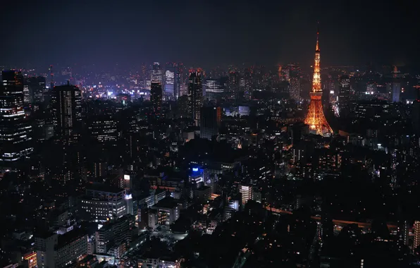 Night, the city, lights, Japan, Tokyo, skyscrapers