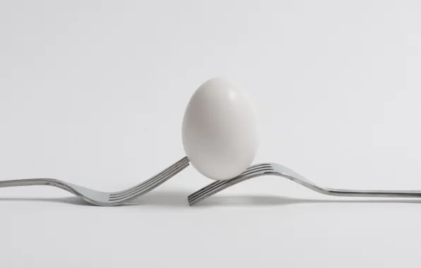 Minimalism, fork, egg