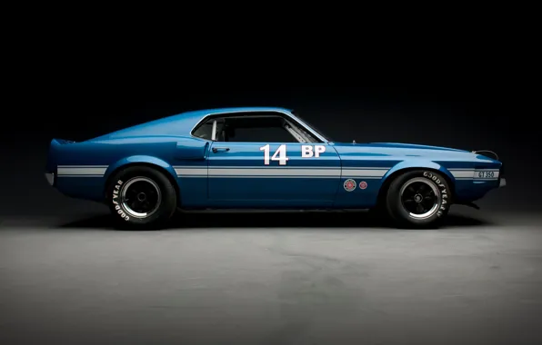 Picture Shelby, GT350, side view, 1969 Shelby GT350
