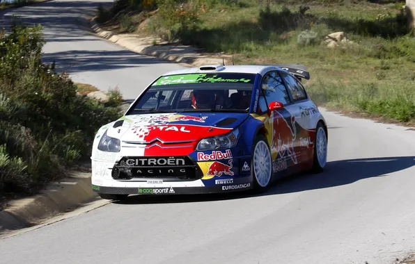Picture Auto, Citroen, Lights, Red Bull, WRC, Rally, The front, Hybrid