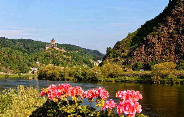 Picture forest, flowers, mountains, river, castle, shore, Germany, Cochem