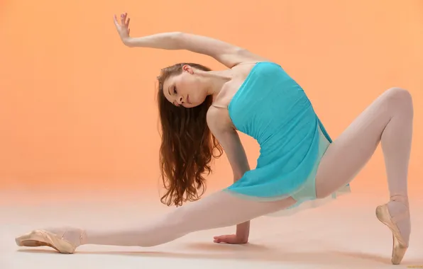 Pose, movement, dance, grace, ballerina, stretching, training, warm-up