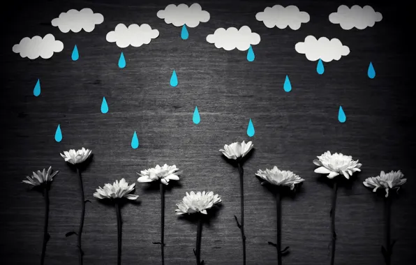 Picture flowers, background, rain