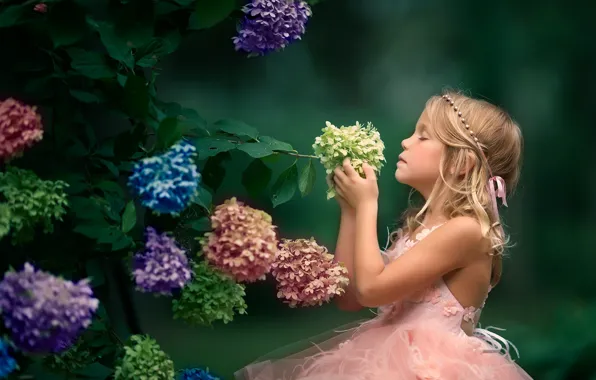 Picture flowers, mood, girl, inflorescence, hydrangea