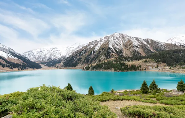 Greens, forest, the sky, clouds, snow, mountains, lake, blue