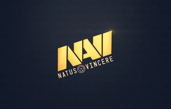 Team, na'vi, team, Counter-Strike, NaVi, NATUS VINCERE, 1.6