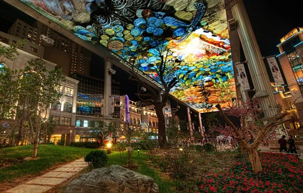 Street, night city, night district