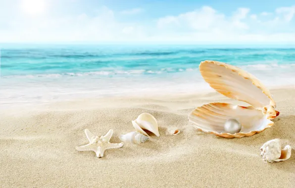 Sand, sea, beach, clouds, nature, pearl, shell, starfish