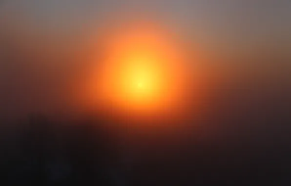 The sky, the sun, fog, dawn