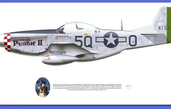 Picture aircraft, illustrations, p 51d mustang