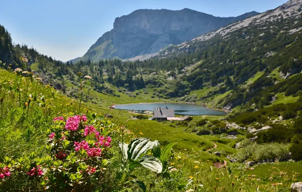 Flowers, mountains, lake, house, Alps