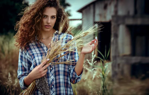 Picture look, nature, pose, model, portrait, makeup, hairstyle, ears