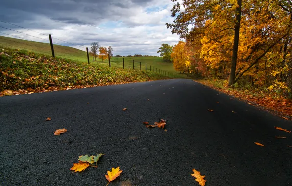 Road, autumn, asphalt, leaves, clouds, trees, nature, field