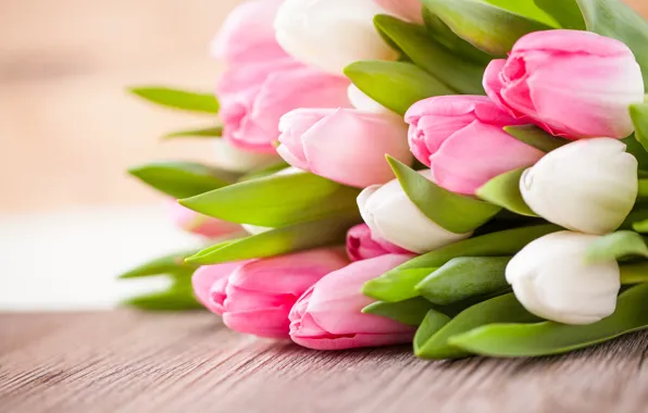 Picture bouquet, tulips, buds