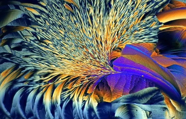 Abstraction, patterns, color, bright, motley