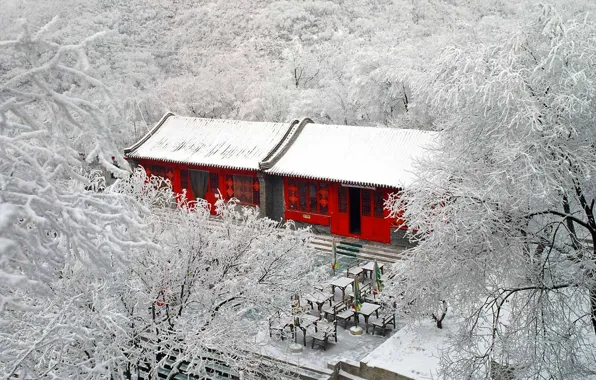 Winter, frost, snow, trees, China, Beijing, Badaling