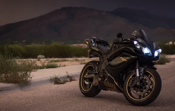 Picture Black, YZF-R1, Gold