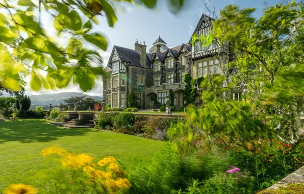 Greens, summer, flowers, house, foliage, blur, mansion, lawn