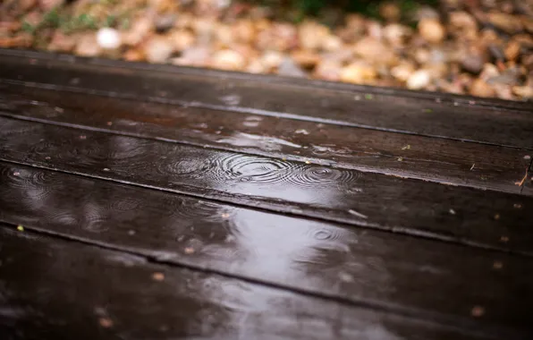 Picture autumn, leaves, drops, rain, Board, blur, wooden