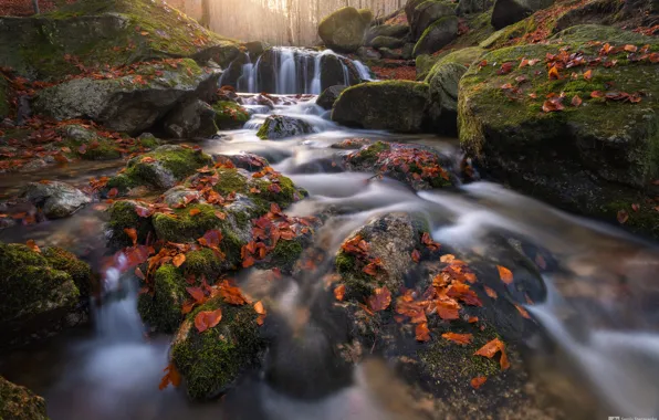 Autumn, stream, stones, waterfall, moss, Czech Republic, river, fallen leaves