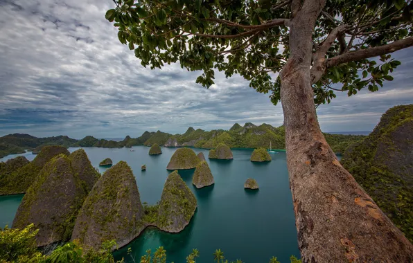 Picture trees, rocks, Indonesia, Bay