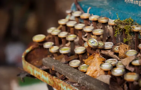 Decay, Remington, typewriter