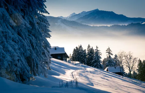 Winter, snow, mountains