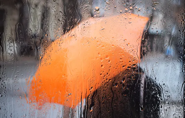 Picture autumn, glass, water, drops, orange, the city, rain, street