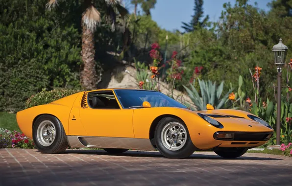 Trees, flowers, yellow, Lamborghini, garden, 1971, supercar, the bushes