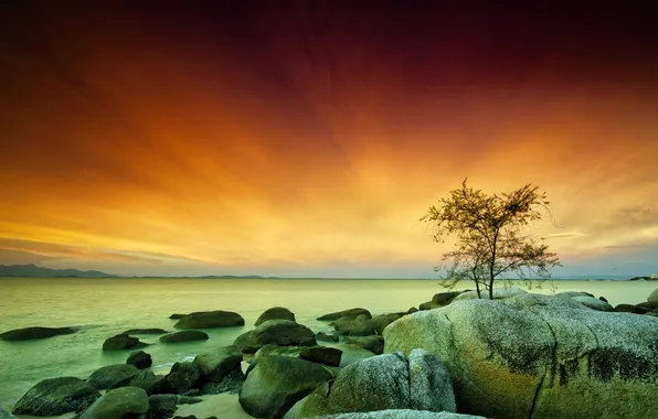 Picture lake, stones, tree, the evening, Malaysia