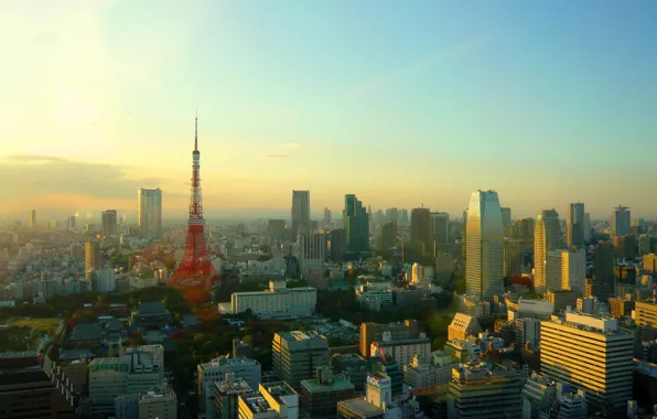 Picture city, sunset, building
