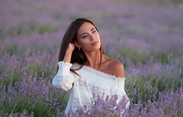 Girl, flowers, pose, mood, meadow, blouse, shoulder, lavender