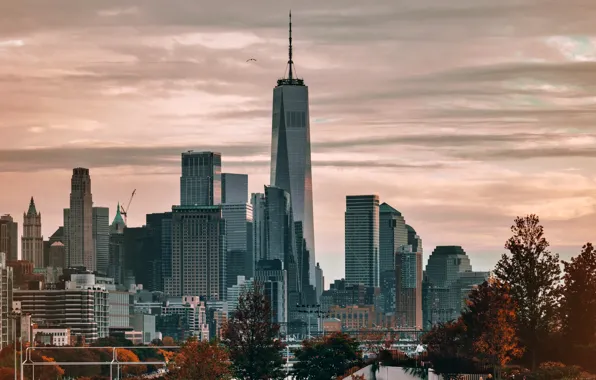 City, the city, Wallpaper, New York, the evening, USA, skyscrapers, picture