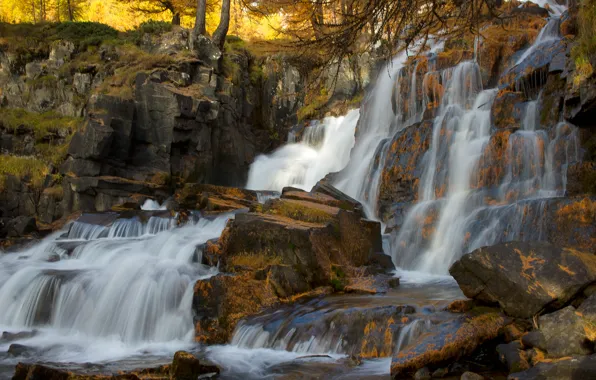 Autumn, forest, trees, river, stones, rocks, waterfall, stream