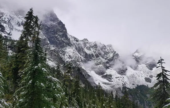 Winter, the sky, snow, trees, mountains, nature, rocks, Canada